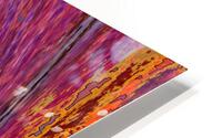 Tarsino HD Metal print