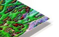 Solmina HD Metal print