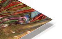 Hektos HD Metal print