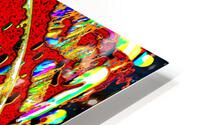Simptose HD Metal print