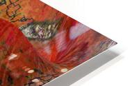 Dilltos HD Metal print