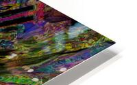 Dermisto HD Metal print