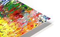 Prakkti HD Metal print