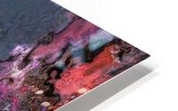 Troimas HD Metal print