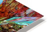Mandilo HD Metal print