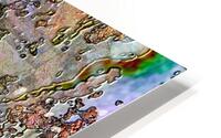 Quantim HD Metal print