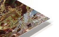 Flida HD Metal print