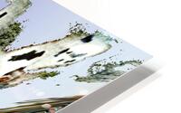 Impact HD Metal print