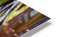 Bordasti HD Metal print