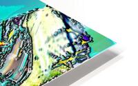 Flitbo HD Metal print