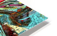 Moplexi HD Metal print