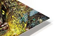 Clodia HD Metal print