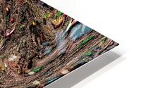 Pladori HD Metal print