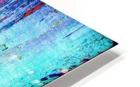 Diddwo HD Metal print