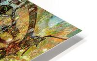 Miltas HD Metal print