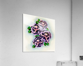 Roses Acrylic Print