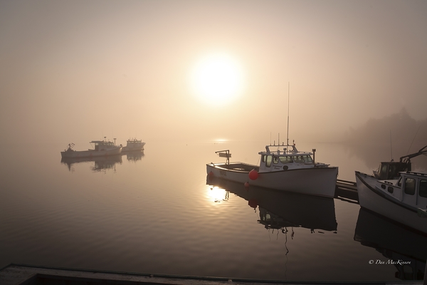 Foggy Day on the River Digital Download