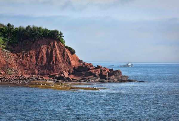 Red Coastline of Cape Bear PEI Digital Download