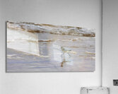 Having a Piping Plover Time Acrylic Print