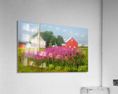 Foggy Day on the Farm Acrylic Print