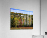 Peake s in the Fall Acrylic Print