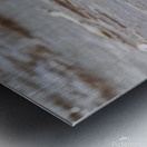 Having a Piping Plover Time Metal print