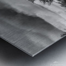 The Poor old Spruce Metal print