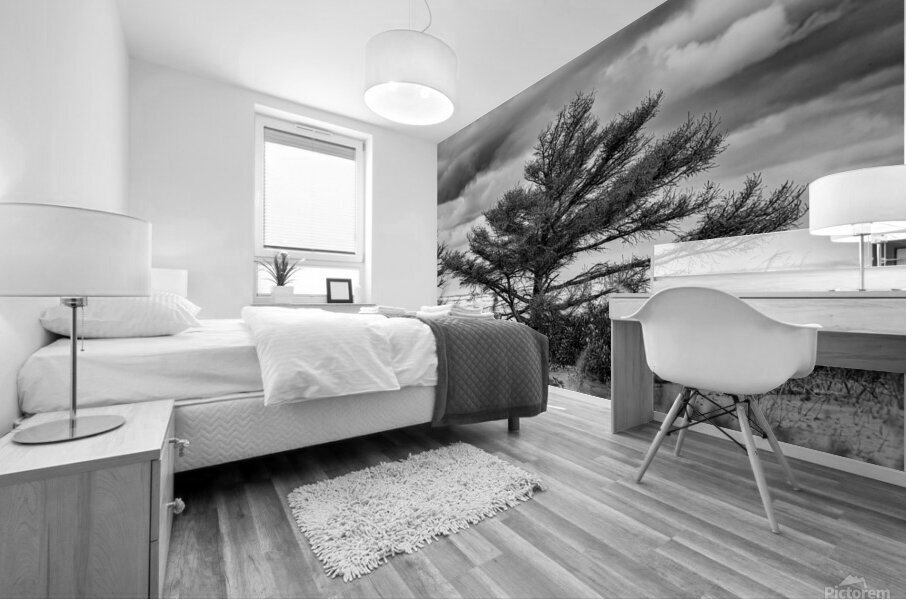 The Poor old Spruce Mural print