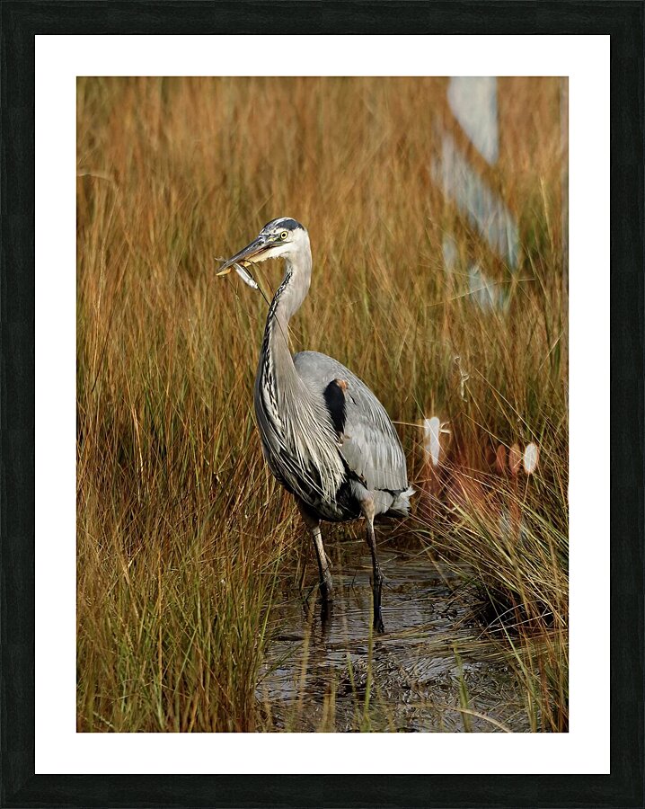 Time for Lunch Picture Frame print