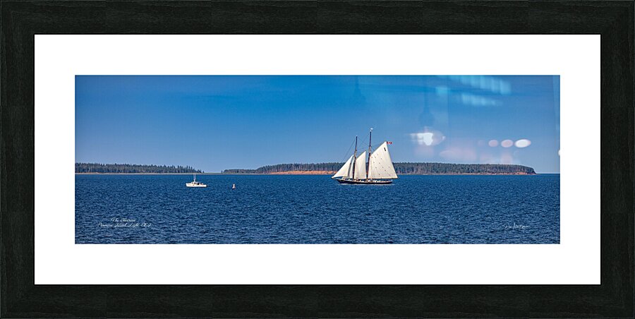 Sailing Home Picture Frame print
