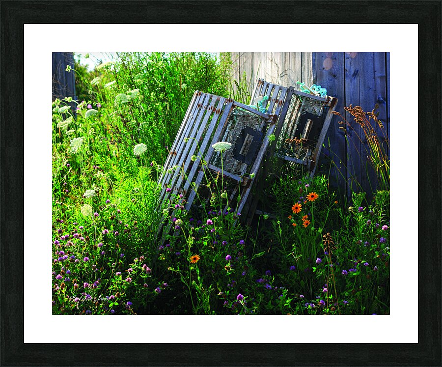 Old traps & Flowers Picture Frame print
