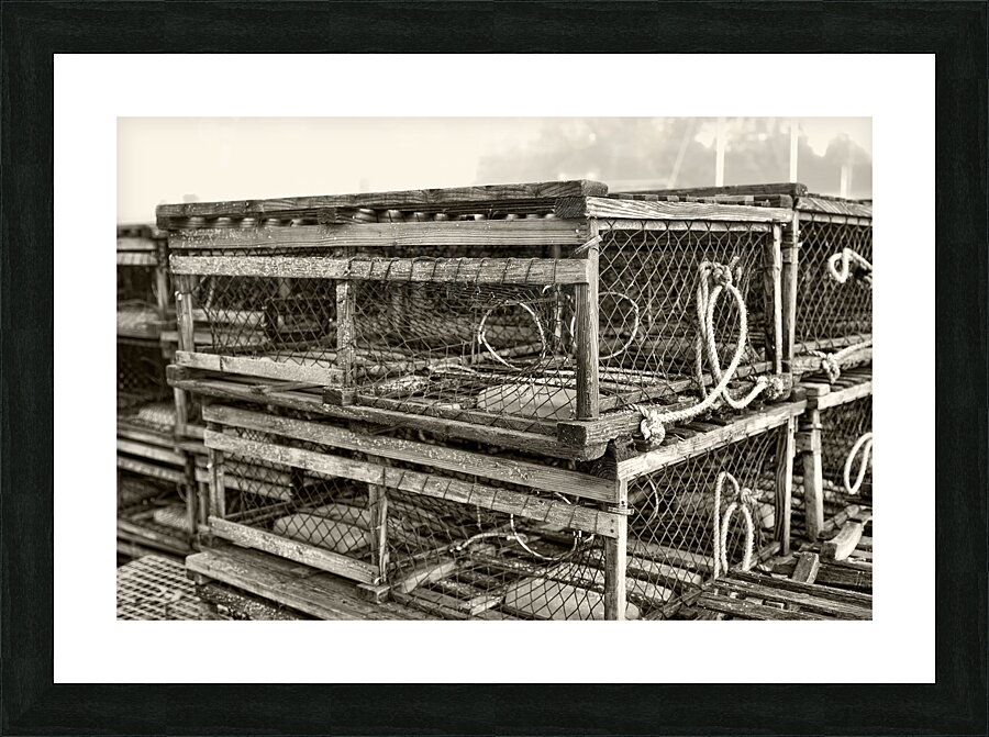 My Old Traps Picture Frame print