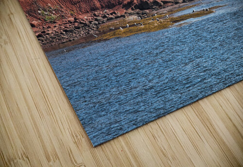 Red Coastline of Cape Bear PEI Dan MacKinnon puzzle