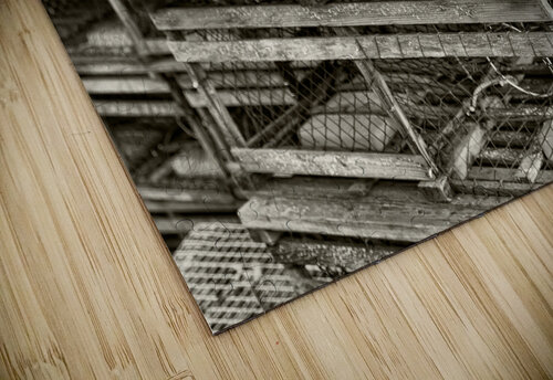 My Old Traps Dan MacKinnon puzzle