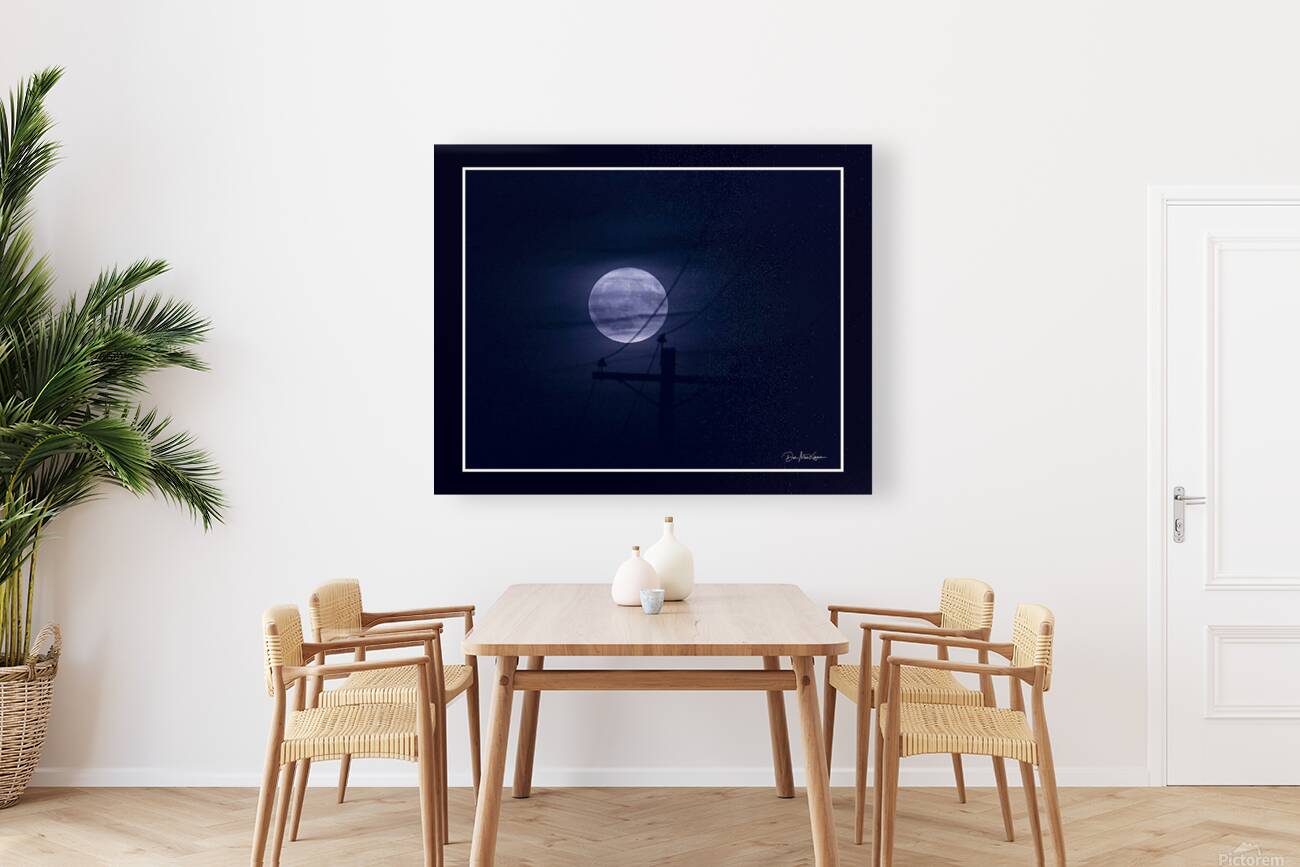 Blue Moon Reproduction