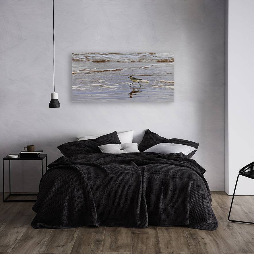 Having a Piping Plover Time Reproduction