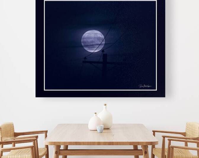 Blue Moon Reproduction