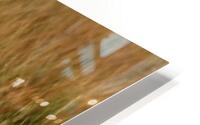 Time for Lunch HD Metal print