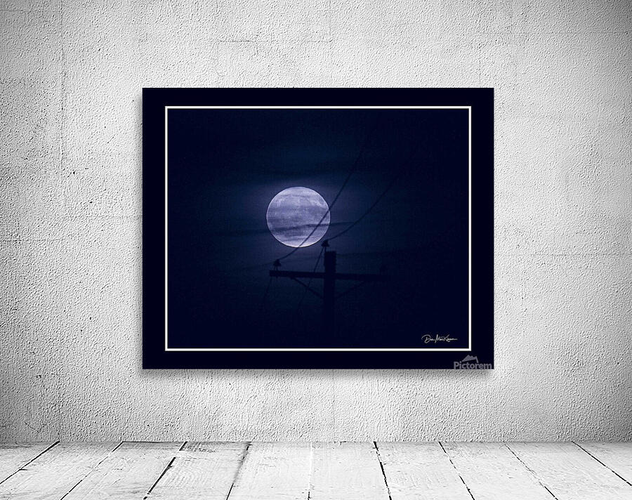 Blue Moon Wall Preview