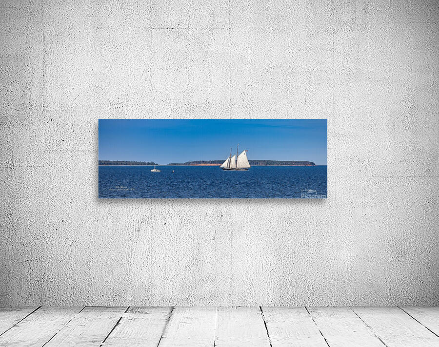 Sailing Home Wall Preview