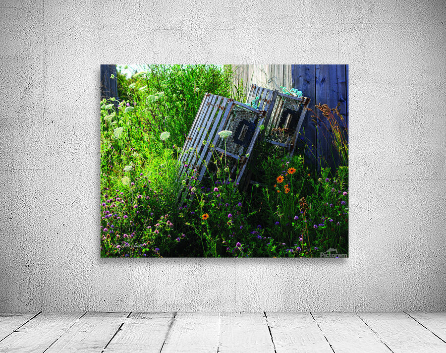 Old traps & Flowers Wall Preview