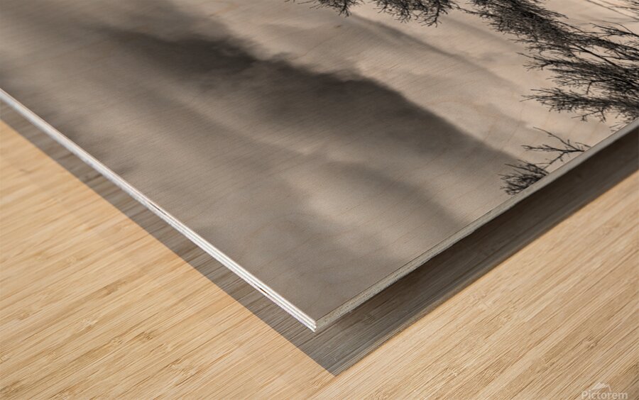 The Poor old Spruce Wood print