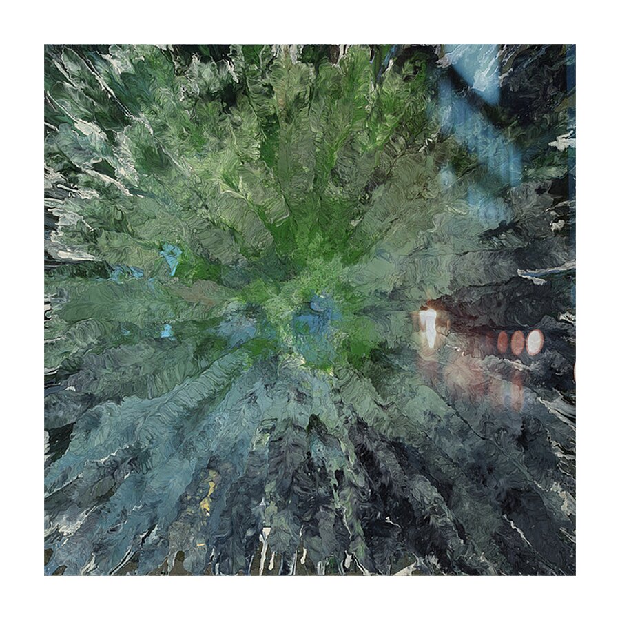 The Measured Wild Picture Frame print
