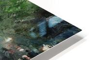 The Measured Wild HD Metal print