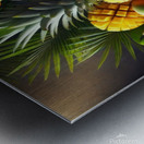 fruits 4 Metal print