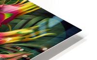 fruits 10 HD Metal print