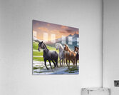 Four Horses  Acrylic Print