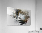 Dissolving Silence Acrylic Print