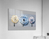 Trio in Bloom Acrylic Print