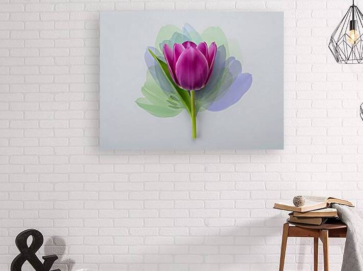 Purple Tulip in Abstract Bloom by Lingua Bridge